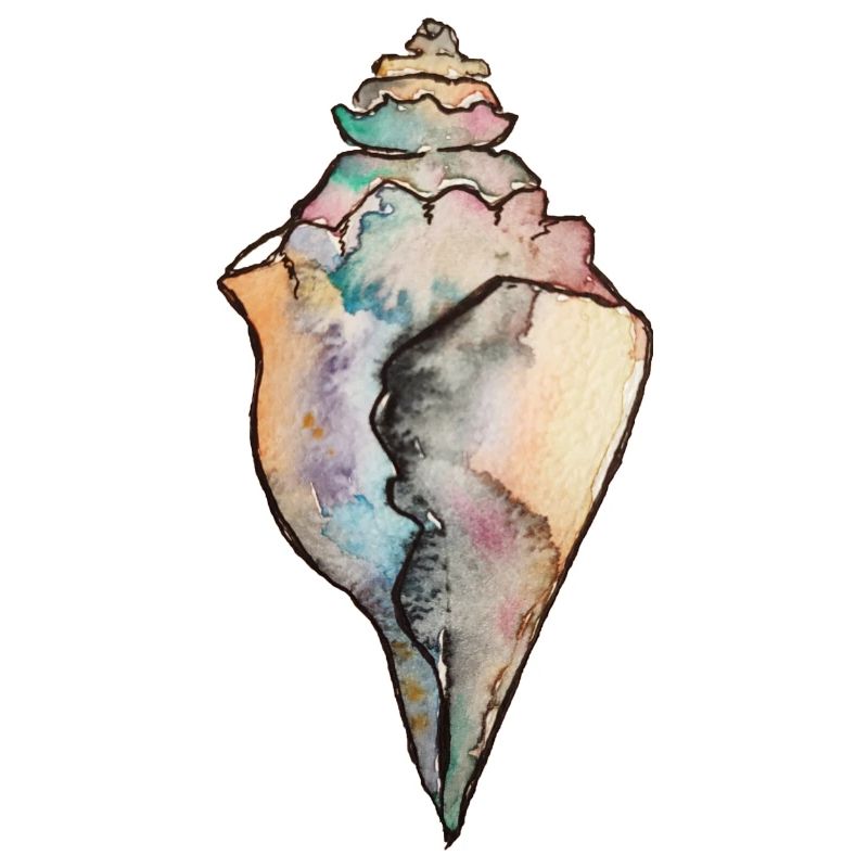 shell