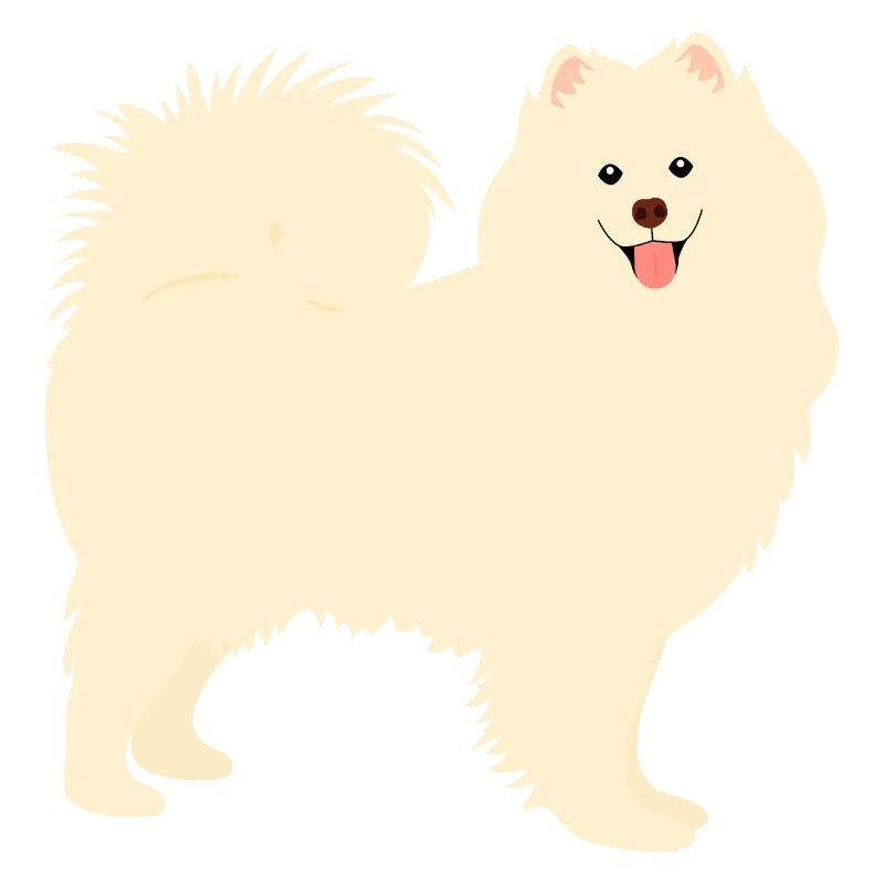 Samoyed Dog