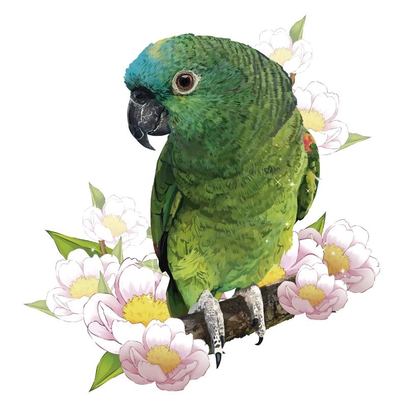 The blue-fronted amazon