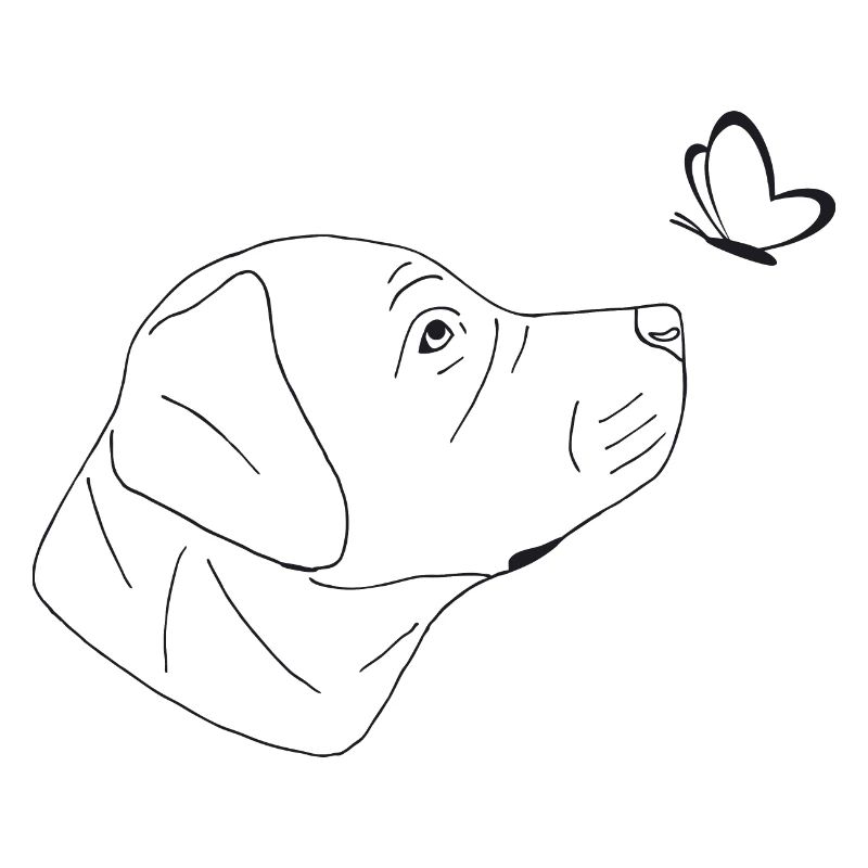 Süßer Labrador mit Schmetterling