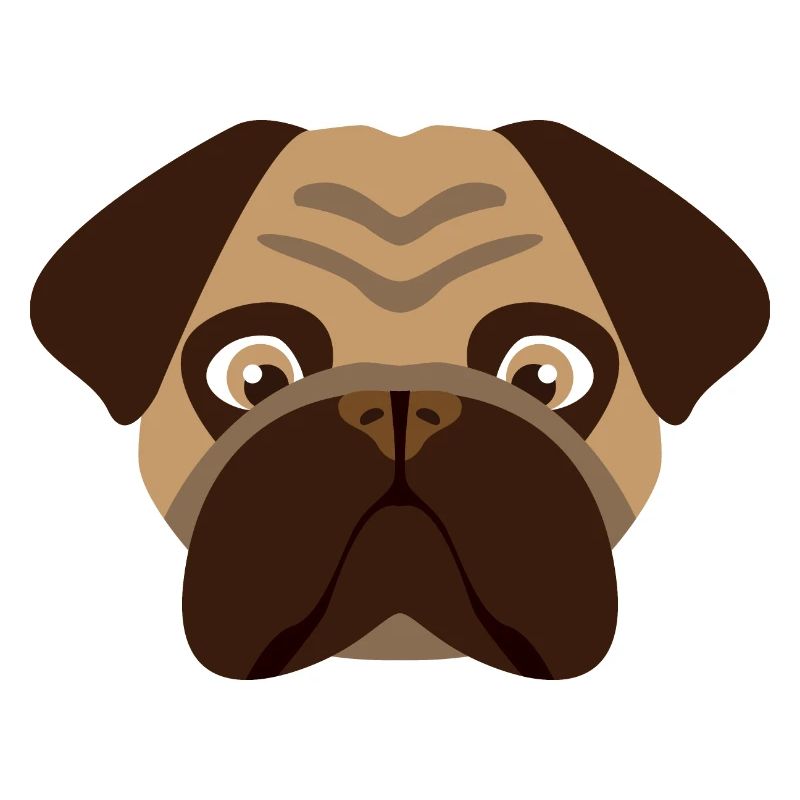 Carlin de chien