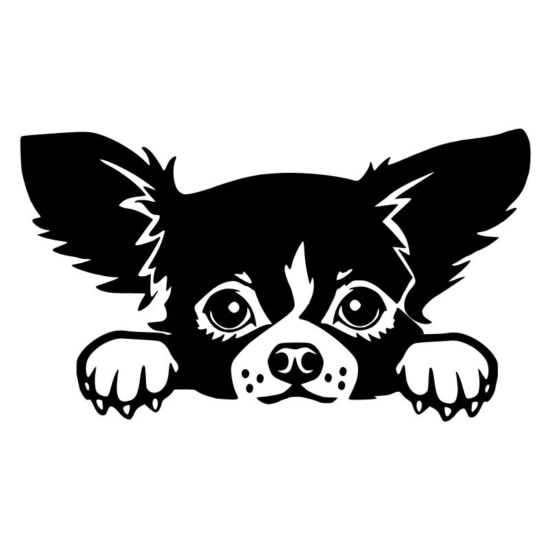 chien chiwawa