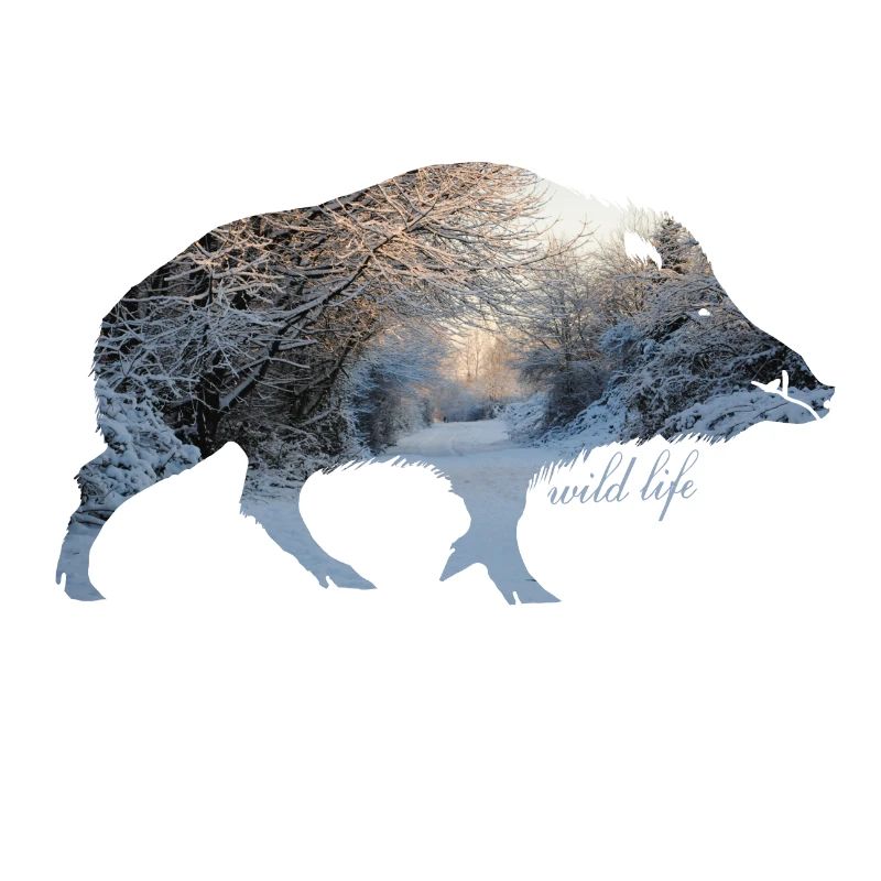 Faune de sanglier
