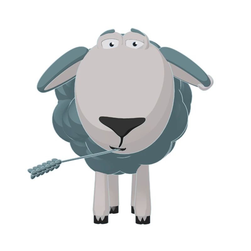 Eli The Sheep