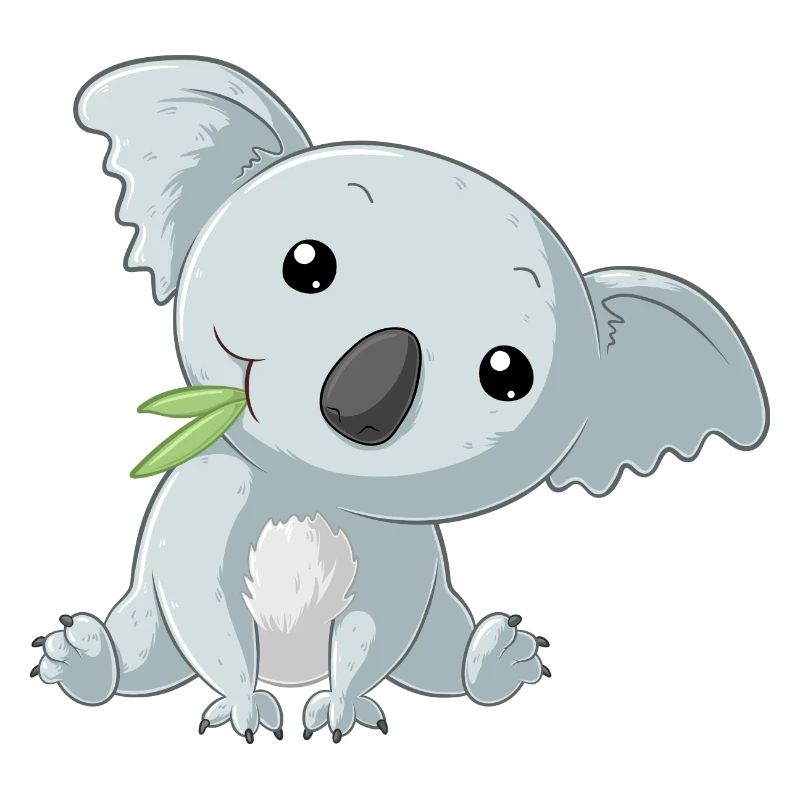 petit koala