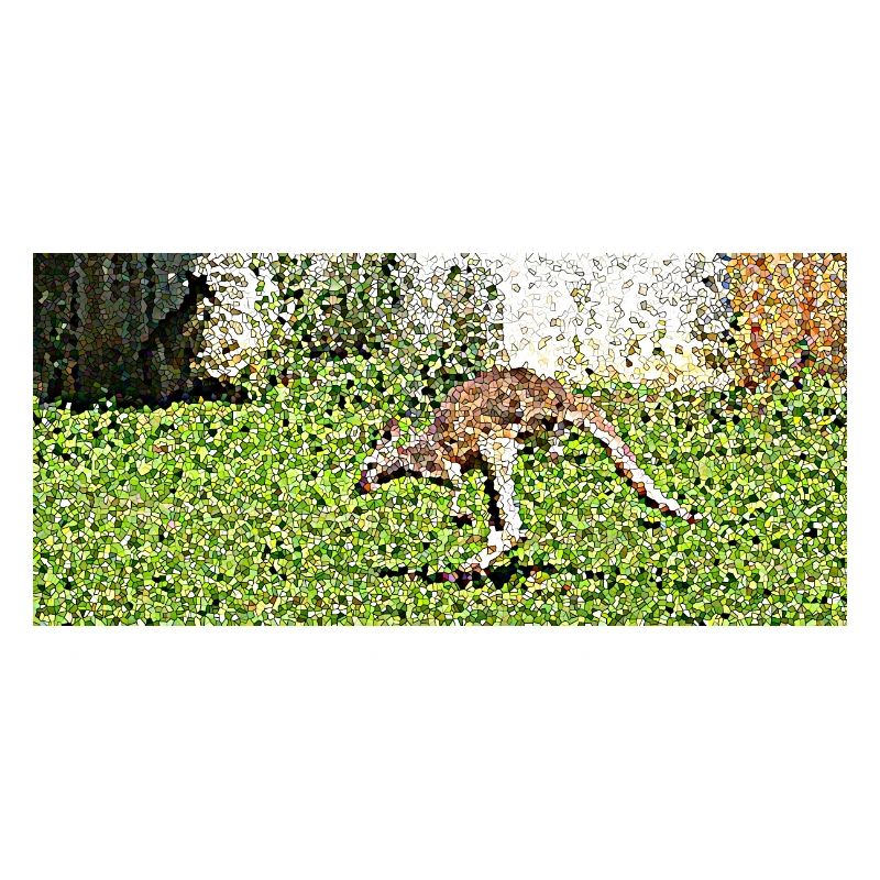 Der große Känguru-Sprung