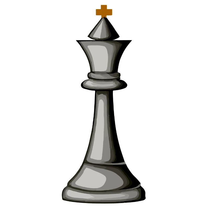 Chess Master Chess Player Chess Piece