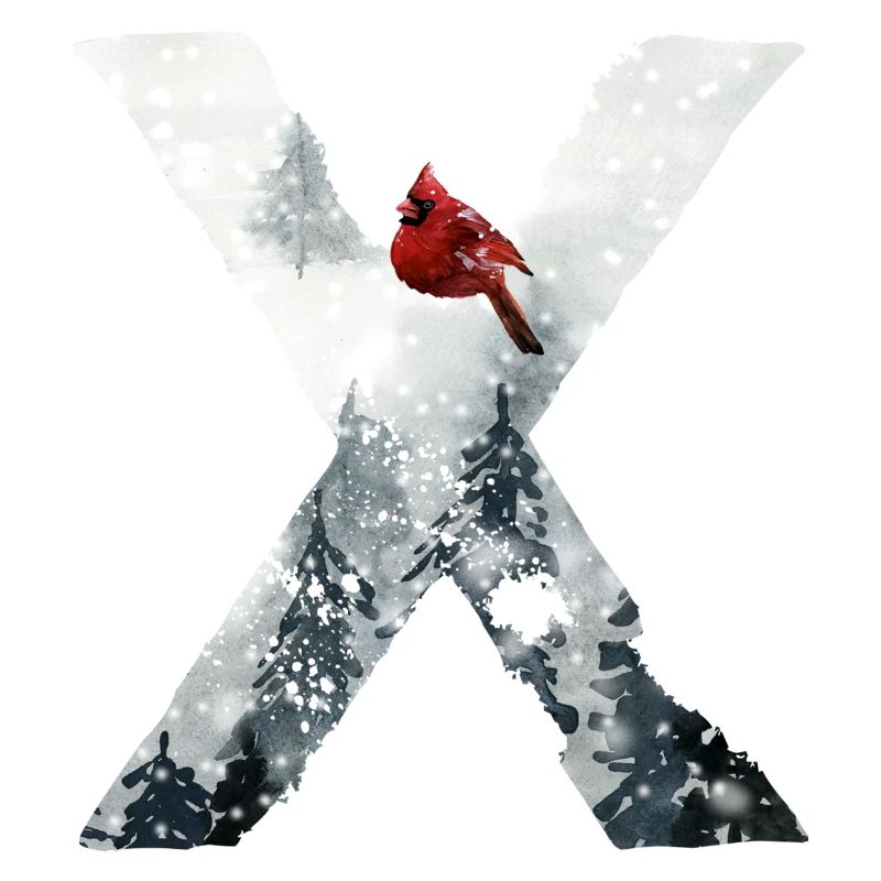 X – decorative character – winter