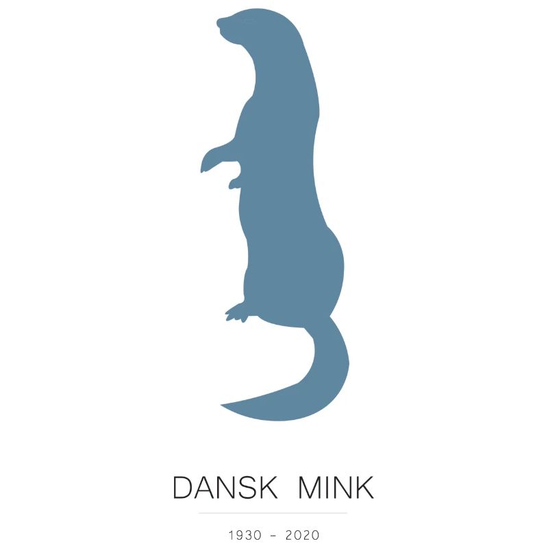 Vison danois