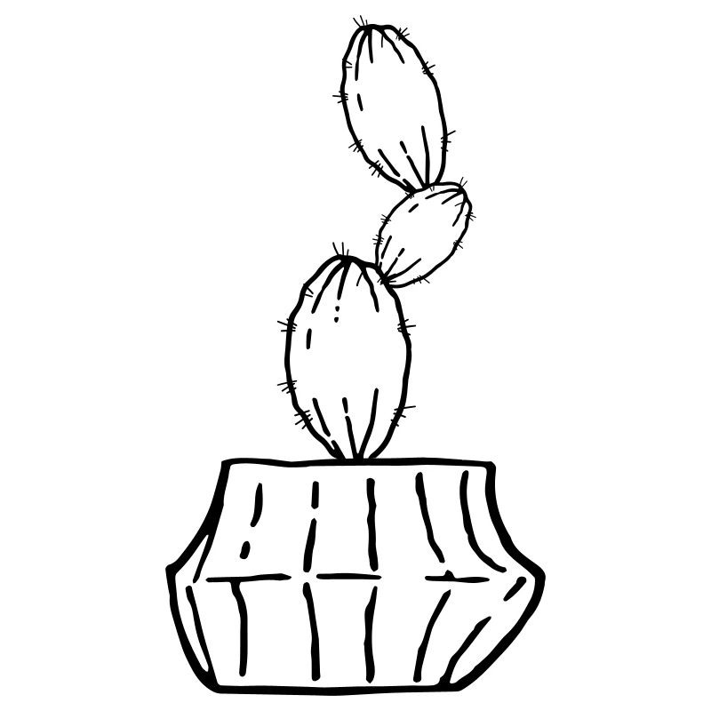 Cactus 1 68 Plan de travail 70