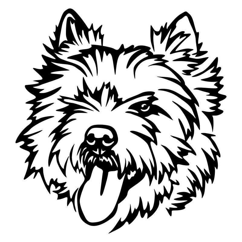Tête de Cairn Terrier
