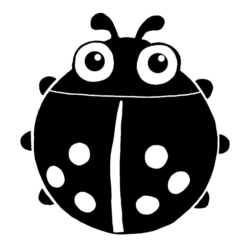 Black ladybug