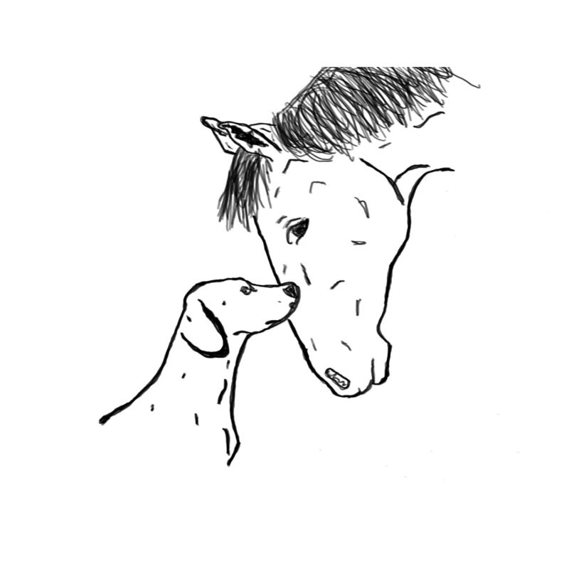 Cheval et chien