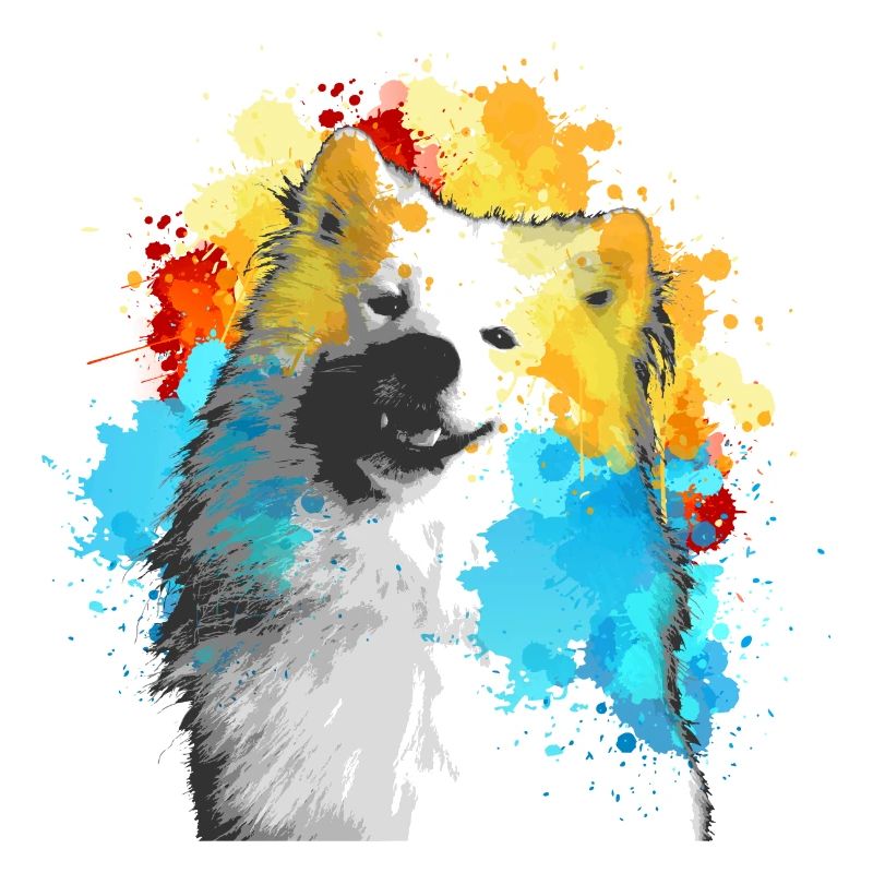 Aquarelle Samoyède multicolore