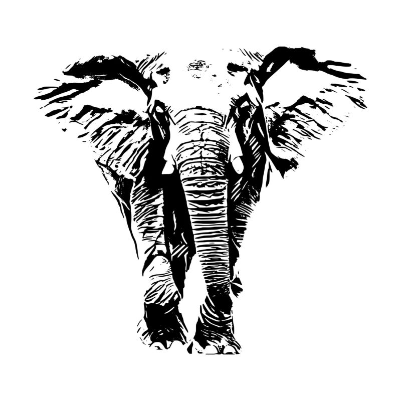 Éléphant