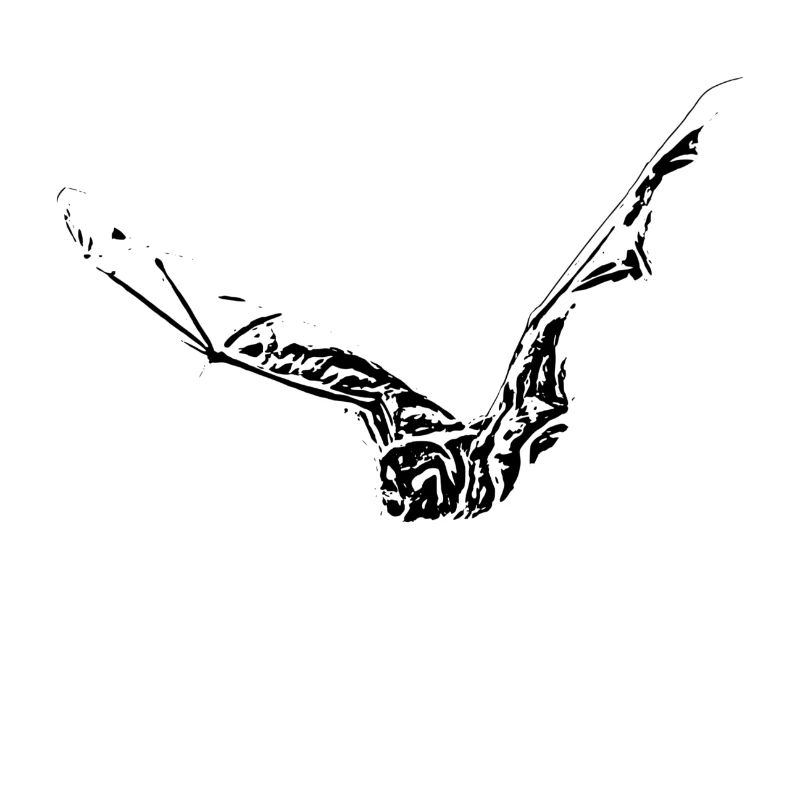 bat