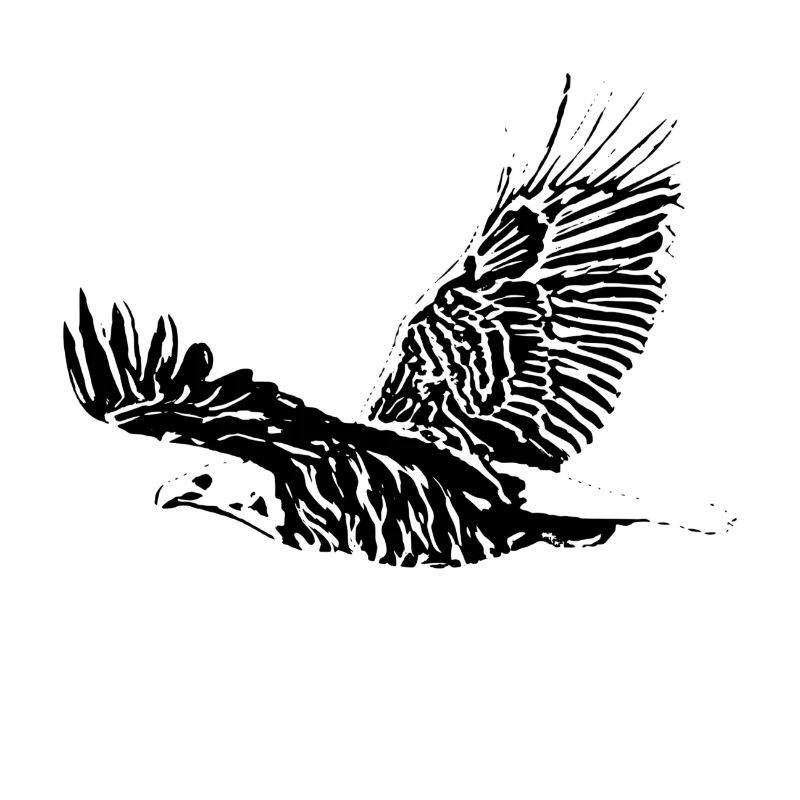 aigle