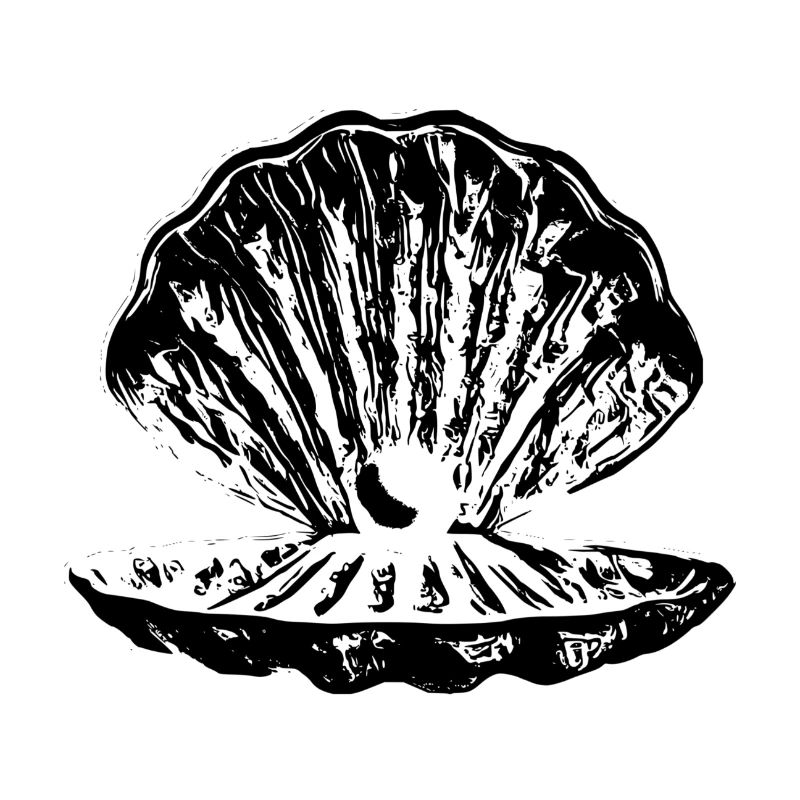 Coquille avec perle