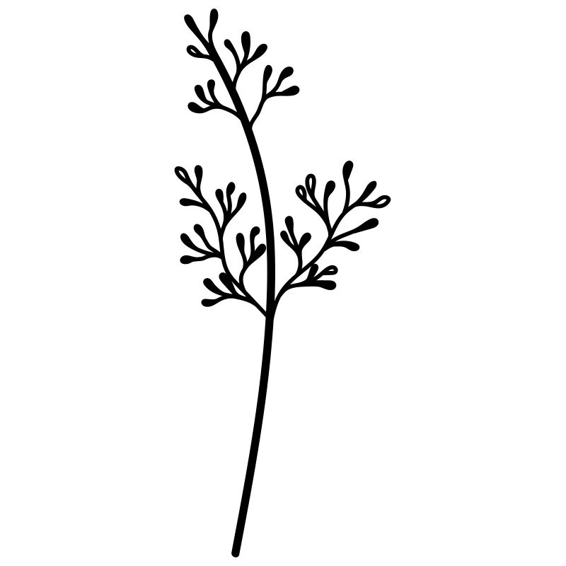 fleur sauvage simple