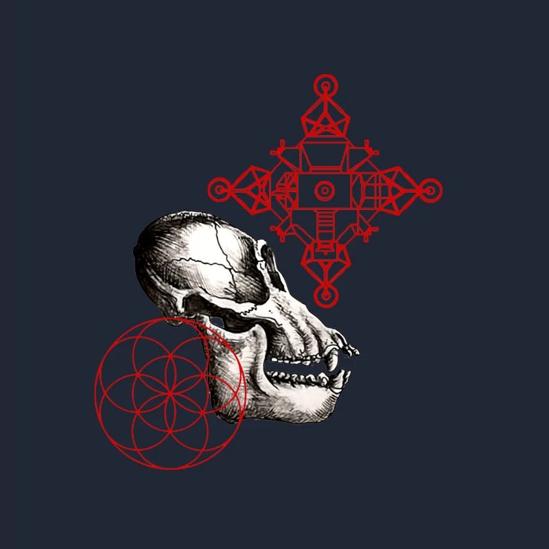 Mond-Australepithecus