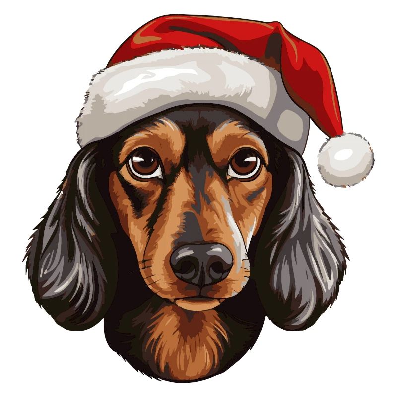 Teckel Chien Teckel Tête Noël