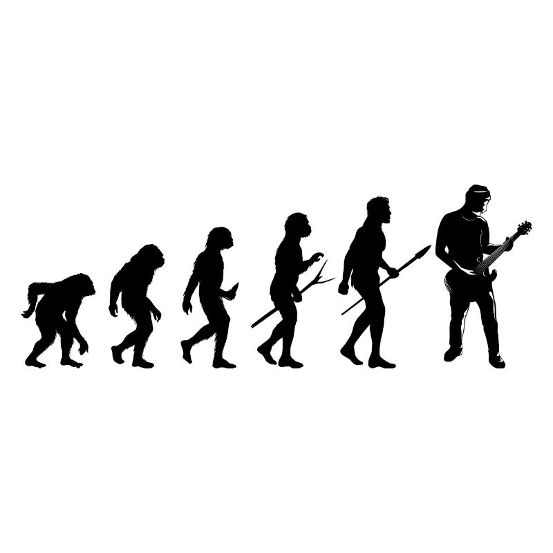 guitar gitarre evolution
