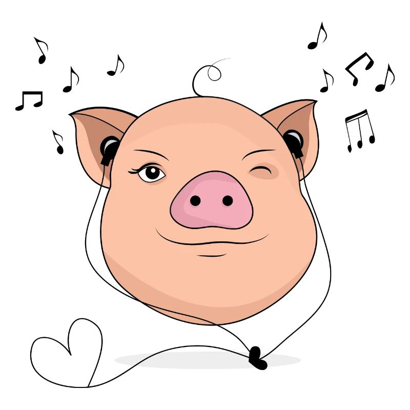 Schwein mit Kopfhörer Musik Geschenk