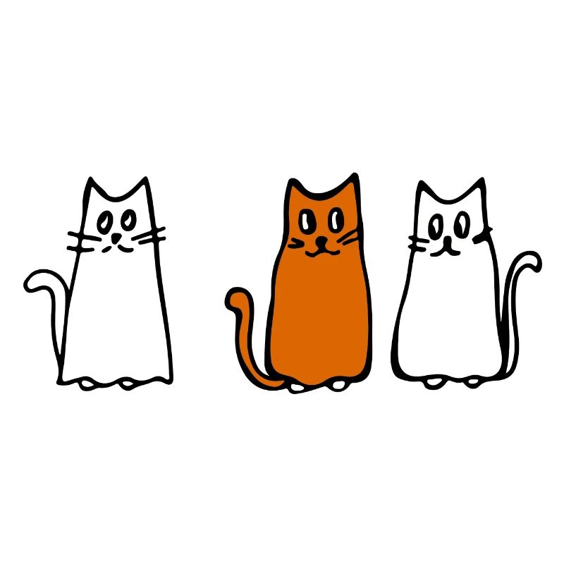 Rencontre de chat