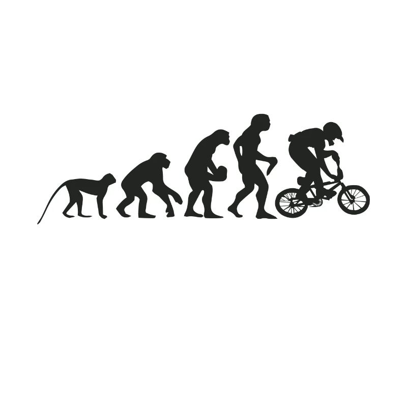 Evolution BMX