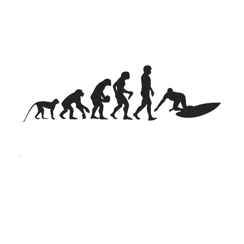 Surf evolution