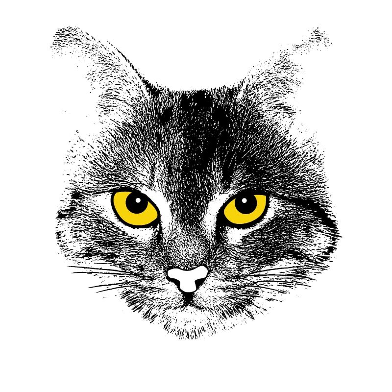 Tête de chat