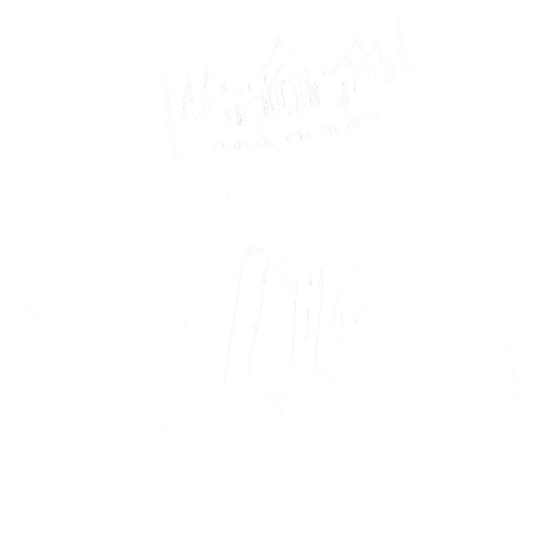 TEST ELISA