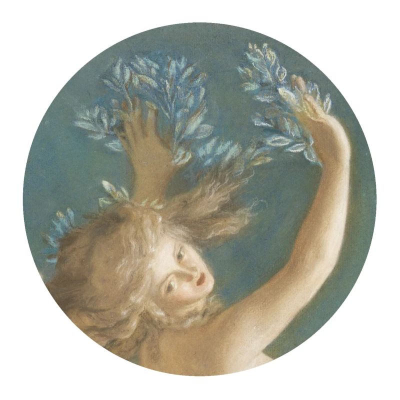 Daphne turning into a laurel tree