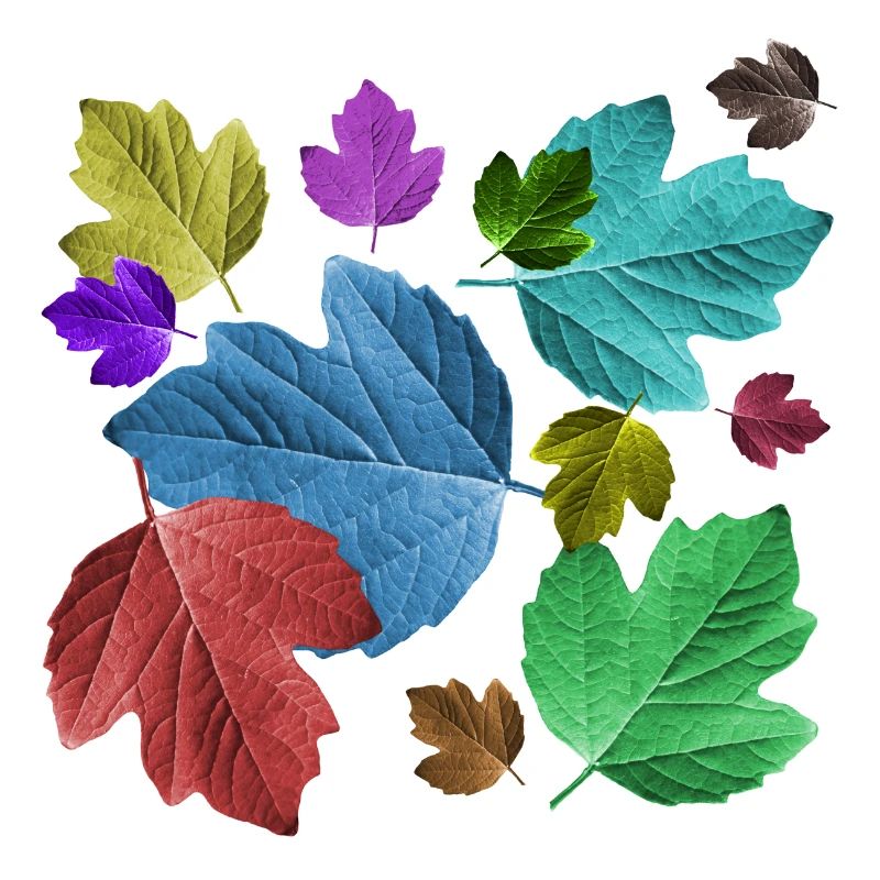 Blätter, bunt, Laub, Herbst, Baum, Blatt, Bäume