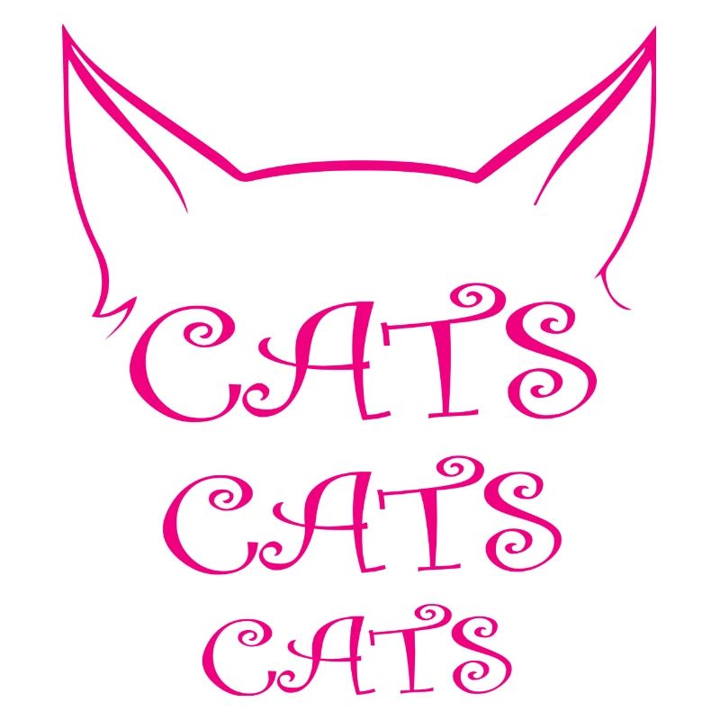 Chat Katze