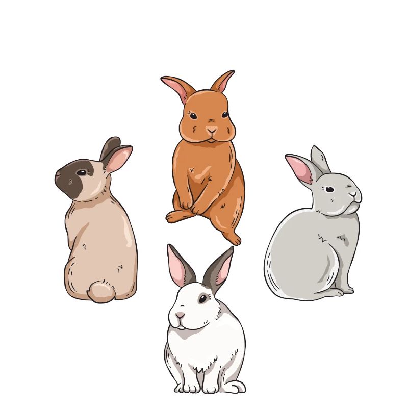 Conception de lapin mignon pour les propriétaires de lapins
