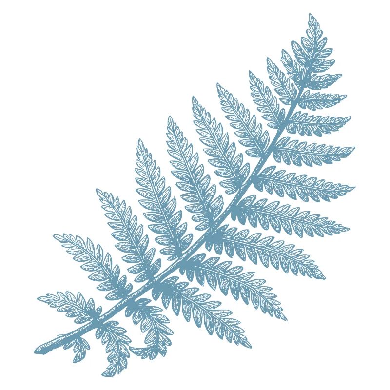 Fern Silhouette Design for Nature Lovers