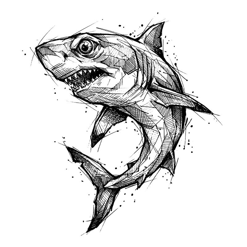 Géométrie de requin - Conception moderne de croquis de requin