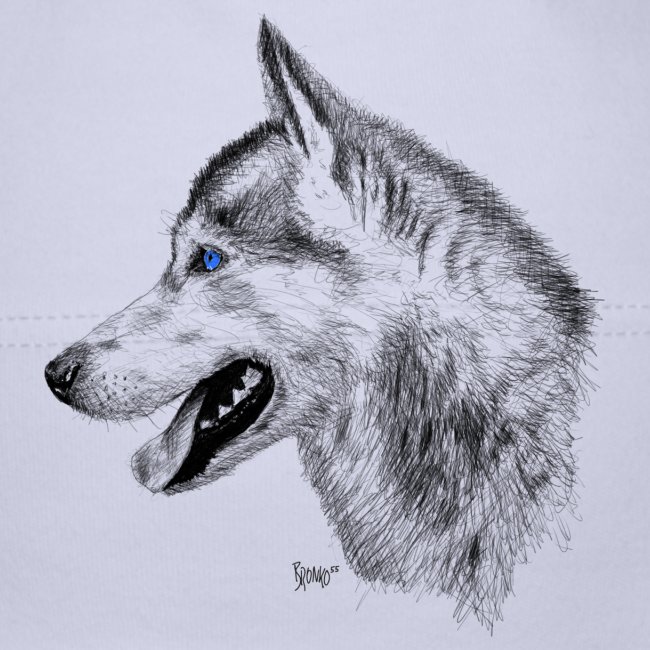 Bronko55 No.13 – Husky Blue Eyes