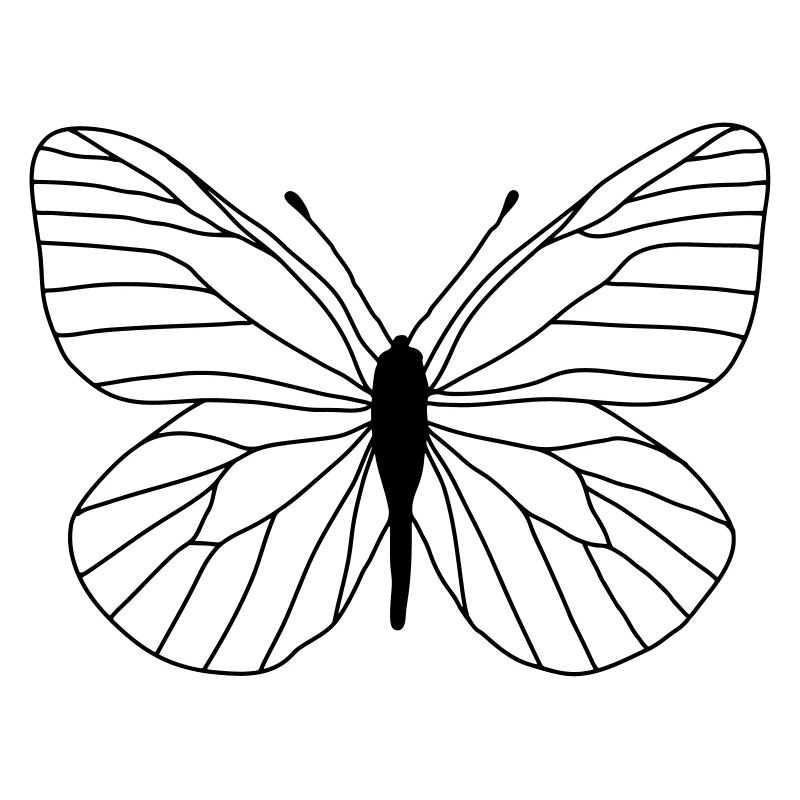 Papillon blanc
