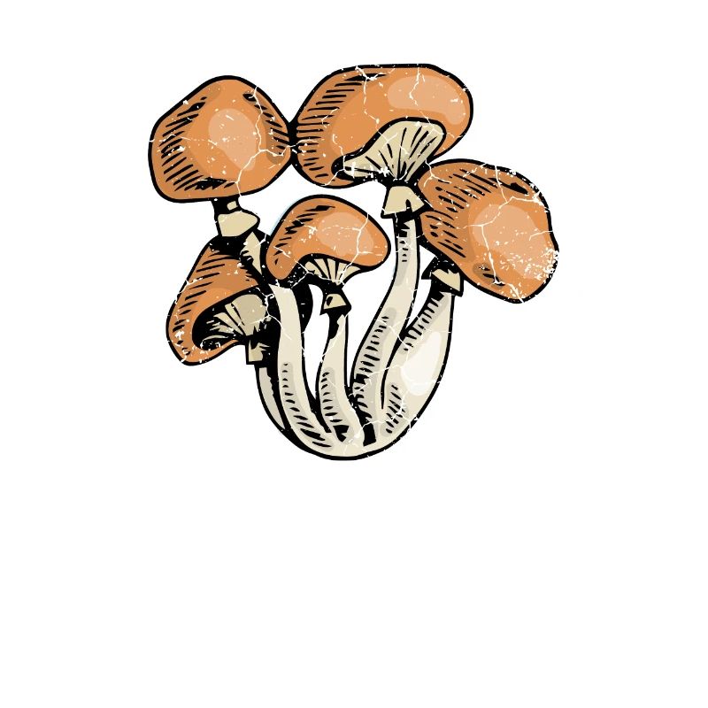 Psychedelic Mushroom, Hippie