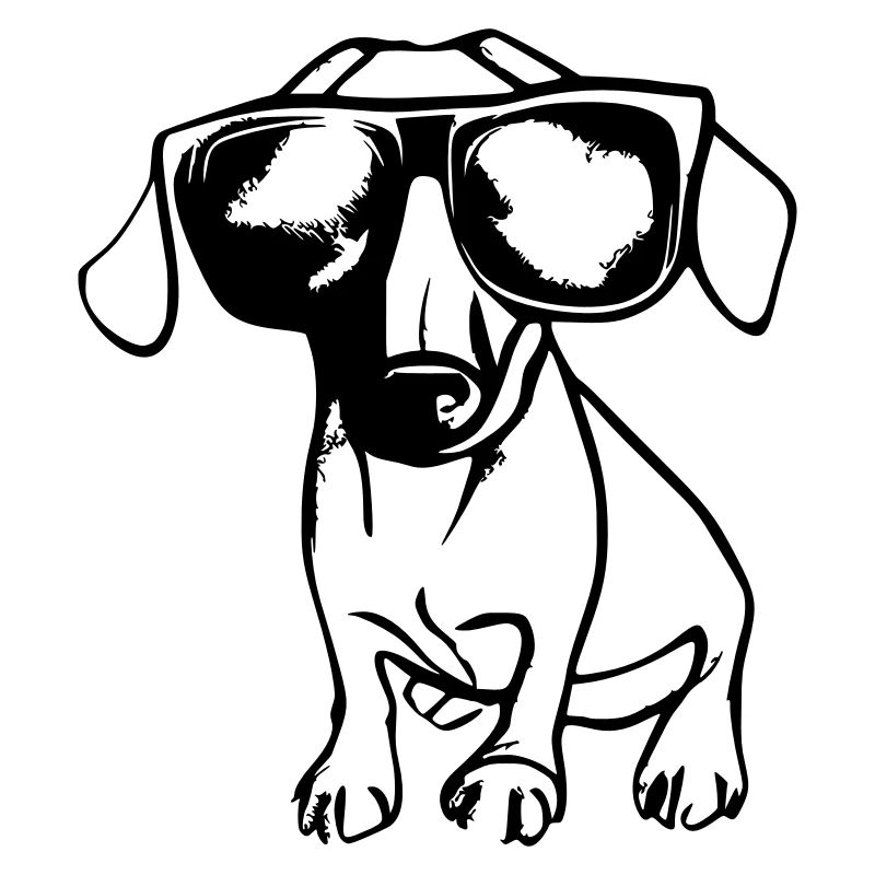 Teckel Chien Chiens Lunettes de soleil Cool Vector 3
