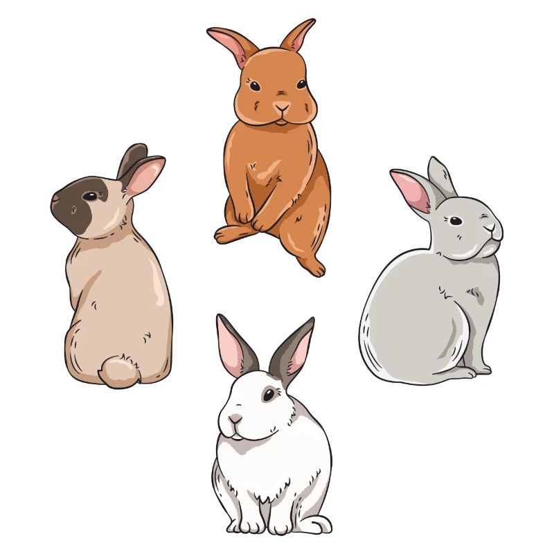 Conception de lapin mignon pour les propriétaires de lapins