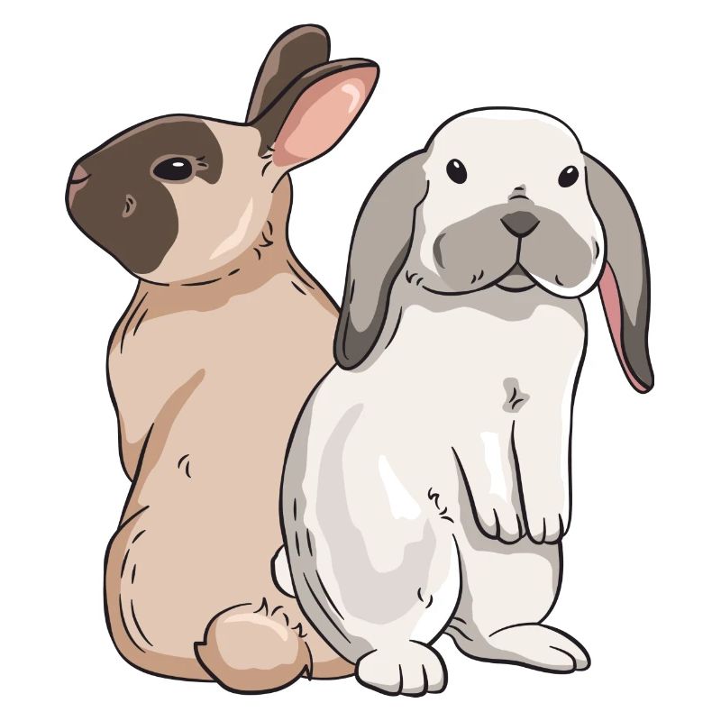 Conception de lapin mignon pour les propriétaires de lapins