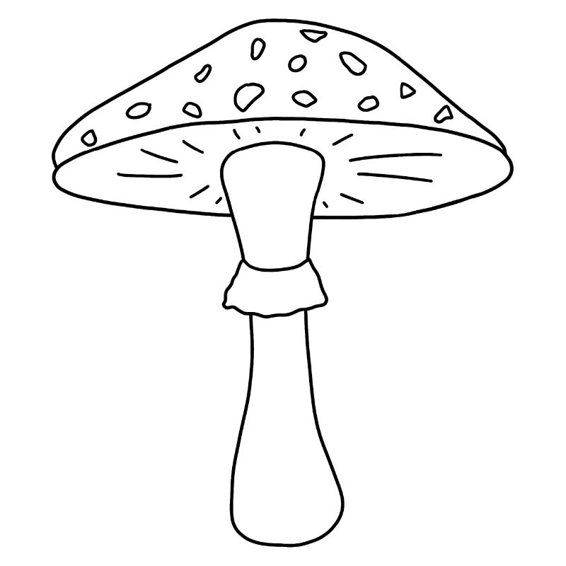 Toadstool black and white