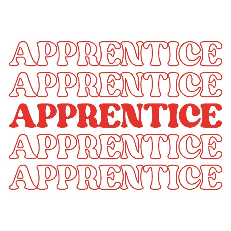 Apprentice Trainee Apprentice Novice Learner