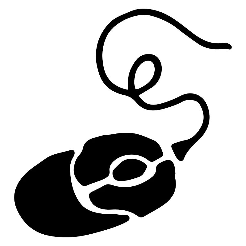 Gamer Gift Mouse / Mouse - PC