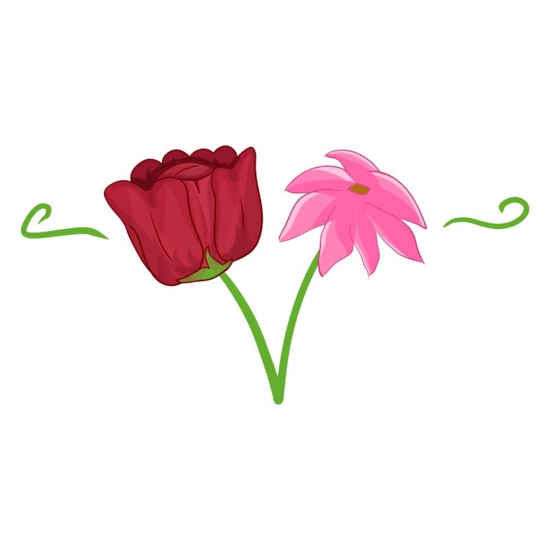 zwei blumen rosa rot