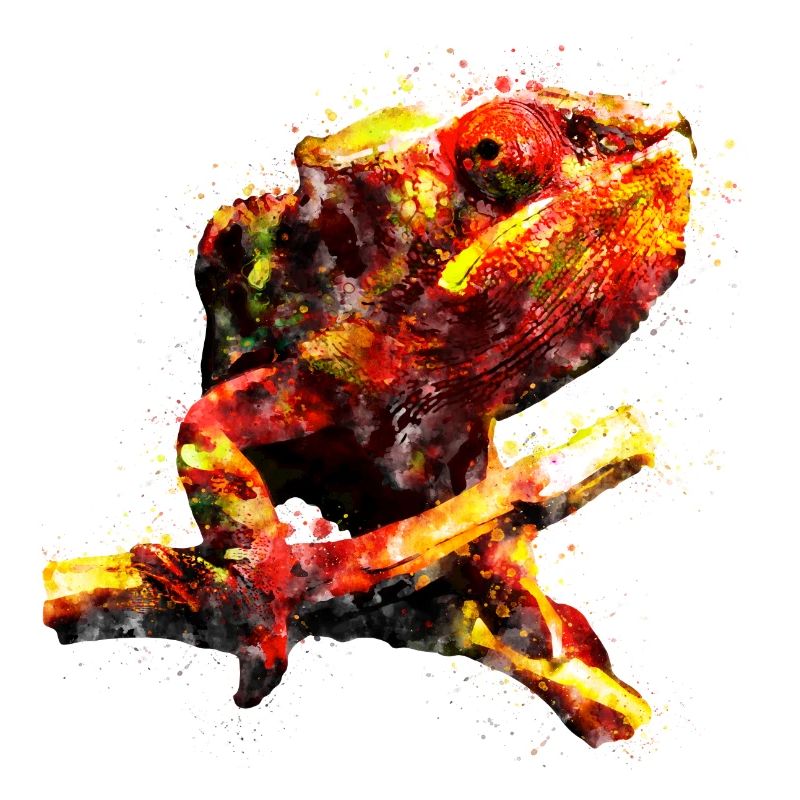 gxp parfait caméléon chamaeleon