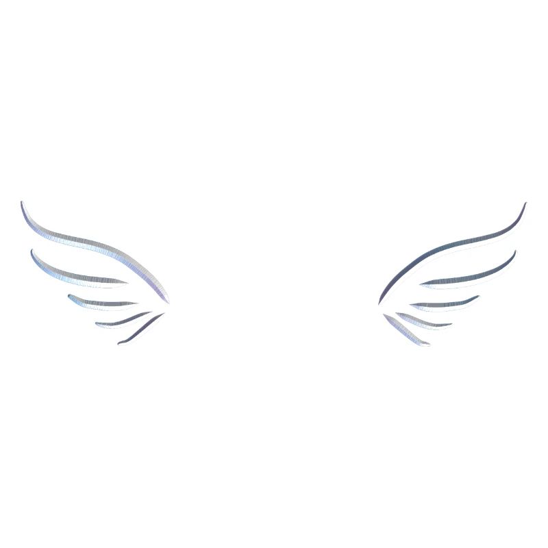 silver wing two fly symbol protect
